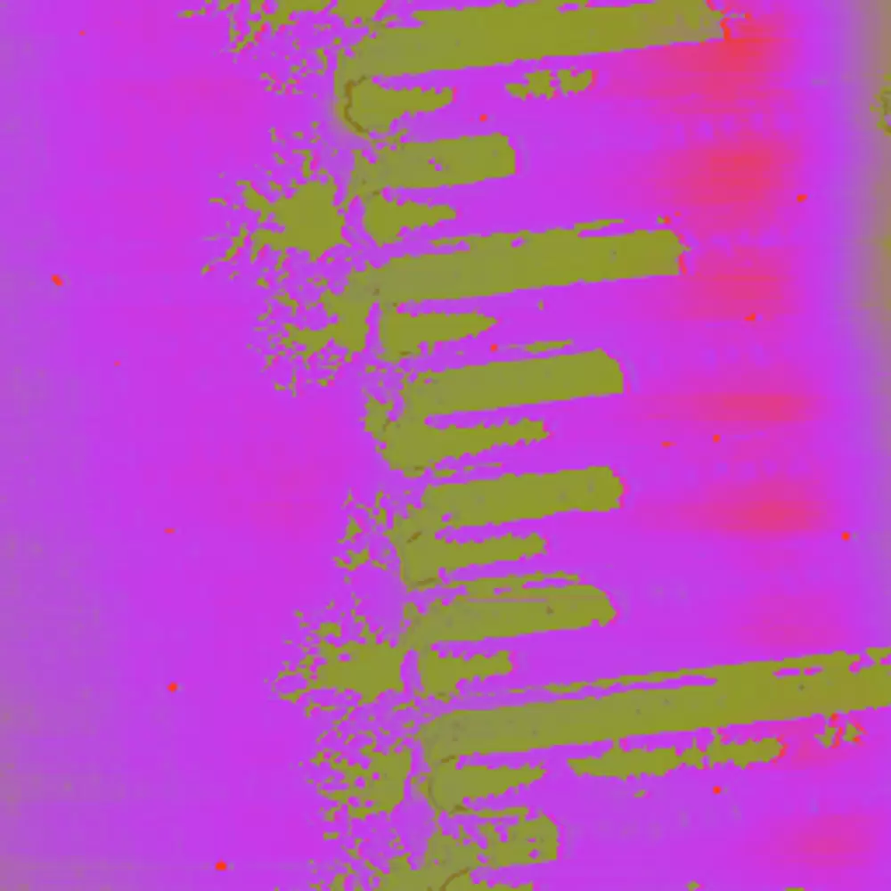 LiNbO3 Ferroelectric Film