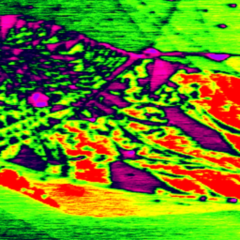 The Surface Potential of 2D Materials