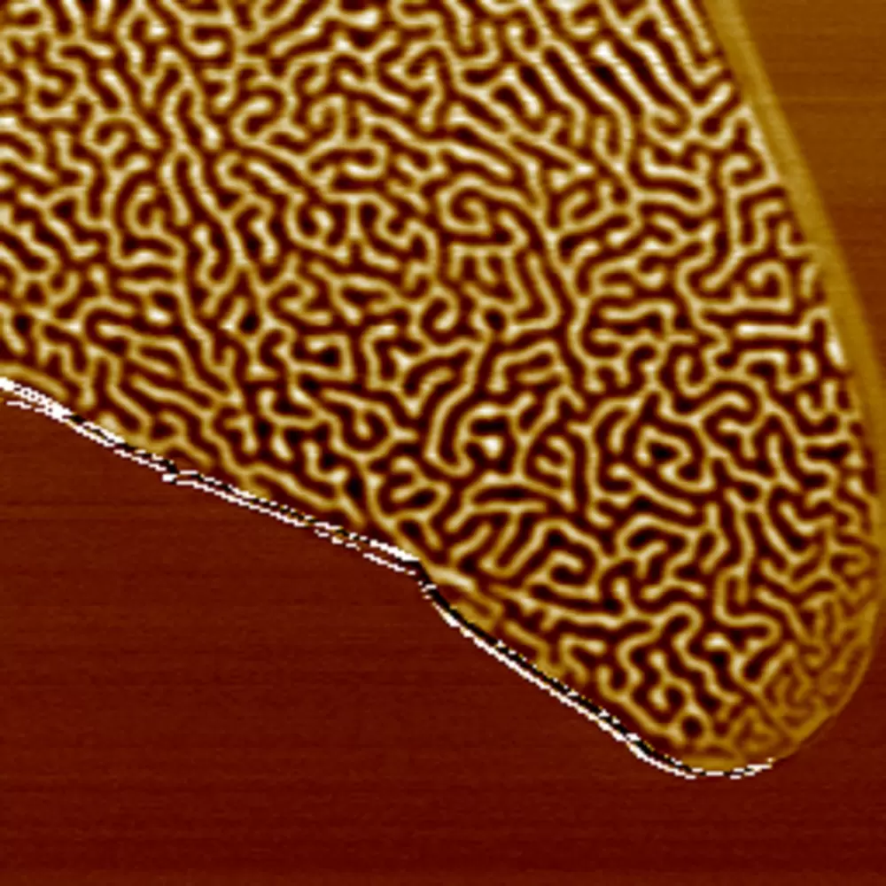 2D Material's Magnetic Domains