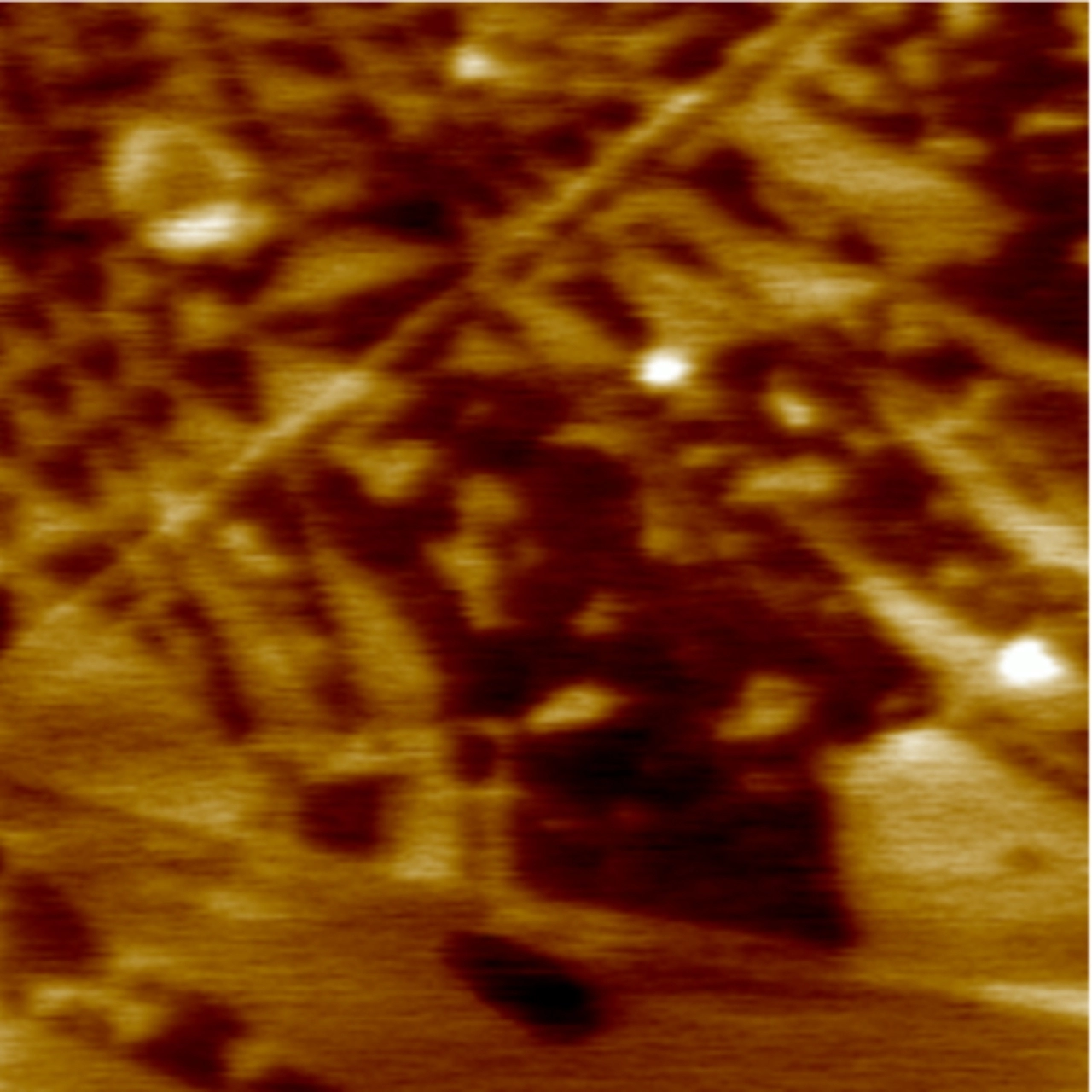 The Surface Potential of 2D Materials