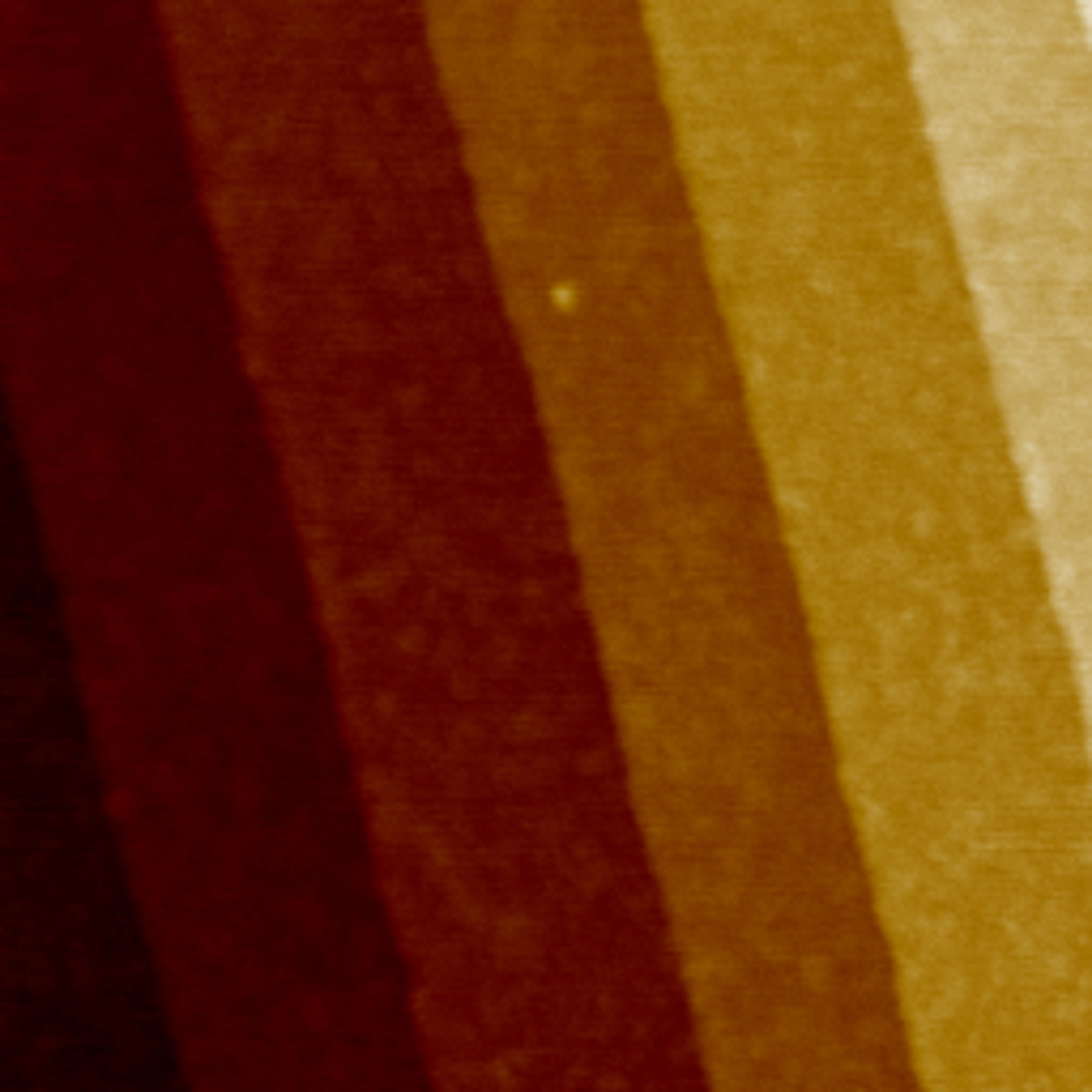[AFM] SiC Atomic Step
